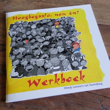 Werkboek Hoogbegaafd nou én?